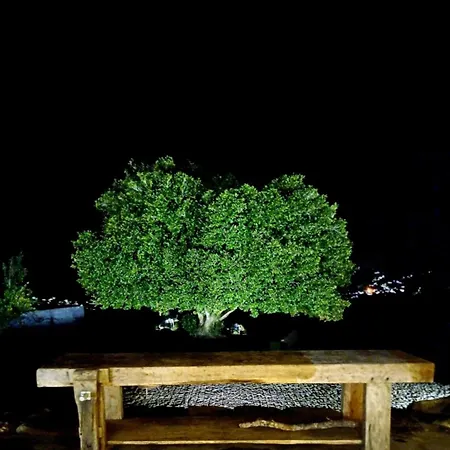 Farm stay Exclusive Pena Rio *