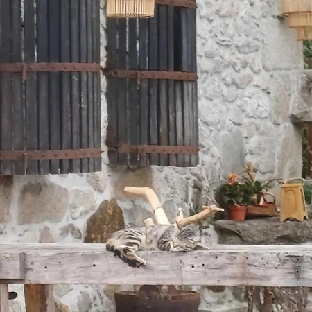 Exclusive Pena Rio 리베이라 데 페나