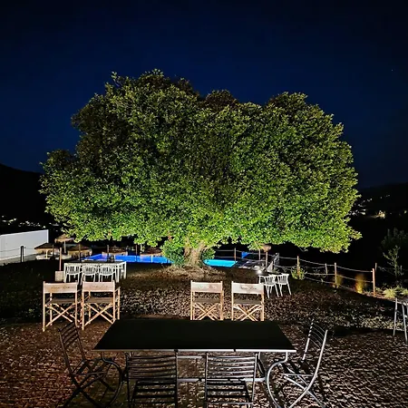 Exclusive Pena Rio *