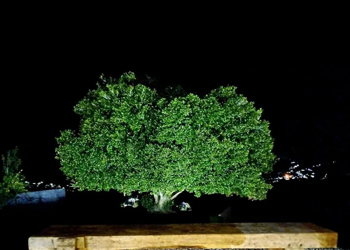 팜스테이 Exclusive Pena Rio *