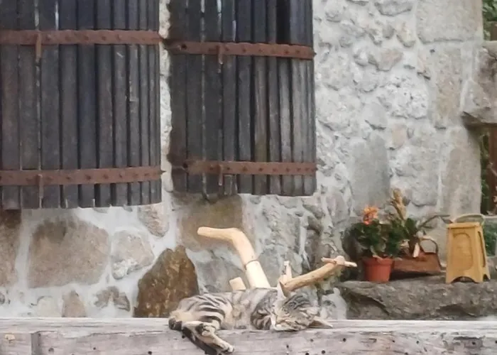 Exclusive Pena Rio 리베이라 데 페나