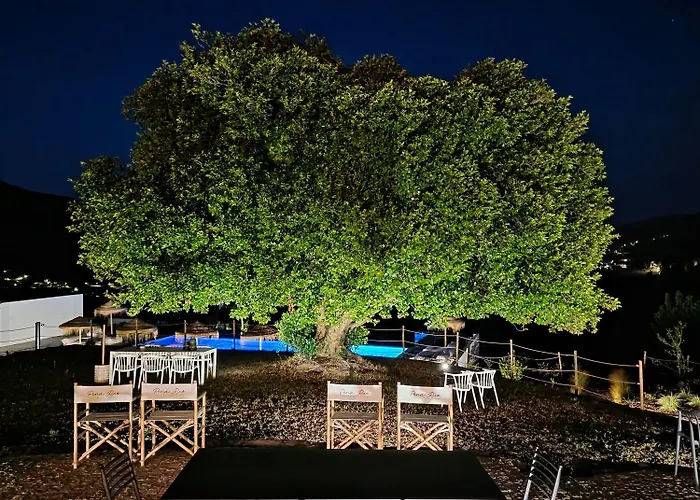 Exclusive Pena Rio *